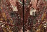 Tall, Red And Yellow Jasper Bookends - Marston Ranch, Oregon #199155-1
